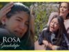 Norma quiere tirar a su primo del tejado por celos