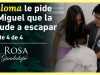Miguel hace todo lo posible por salvar a Paloma